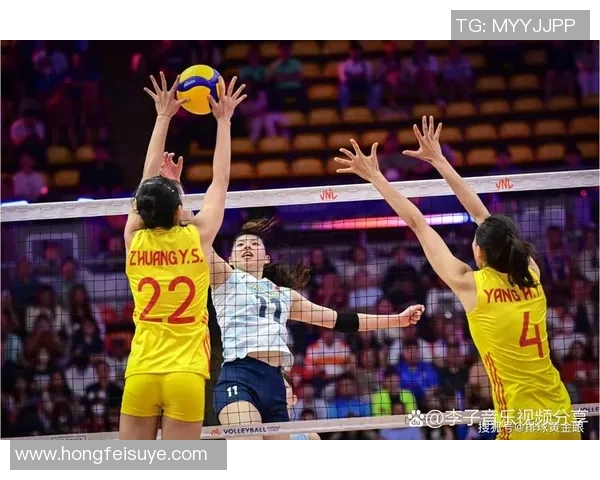 最新排球实力排行榜揭晓深圳排球队强势领跑全国前十名